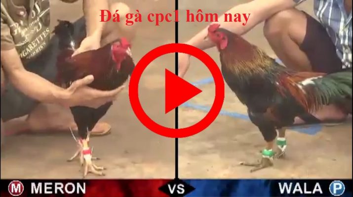 game-da-ga-qh99u