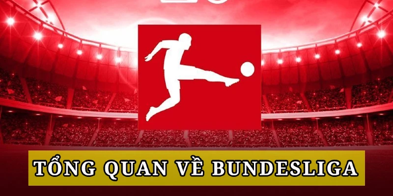 giai-dau-bundesliga